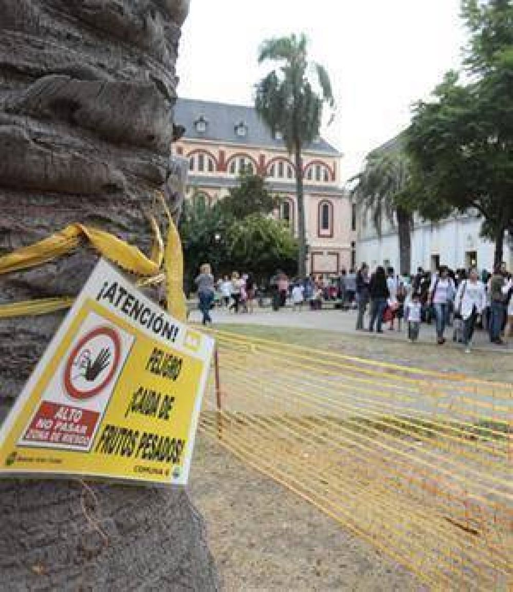 Protestan en una escuela de Caballito porque ramas ca�das ya lastimaron a tres personas