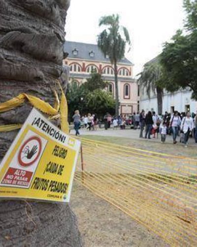 Protestan en una escuela de Caballito porque ramas ca�das ya lastimaron a tres personas