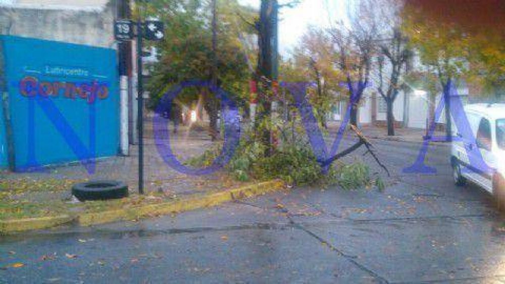 El temporal de viento y lluvia se hizo sentir en el interior de la provincia de Buenos Aires