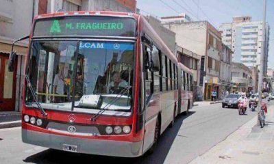 Pol�mica por troles rusos: concejales piden informaci�n de la compra
