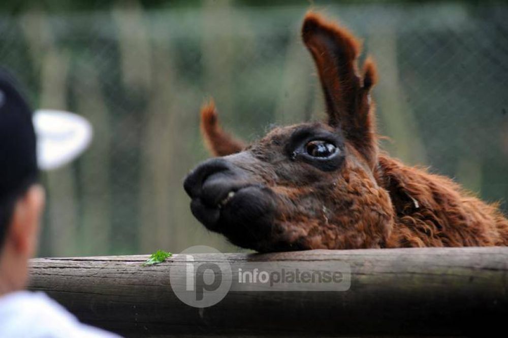 Denuncian p�simas condiciones del ZOO y piden que se transforme en Eco Parque