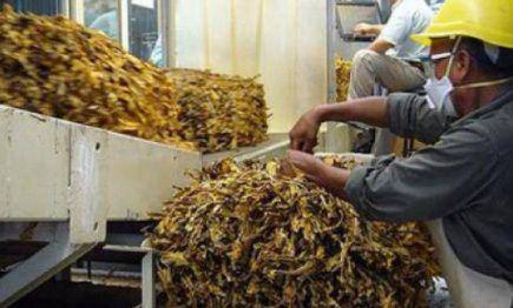 Pagan m�s de 25 millones de pesos a productores tabacaleros