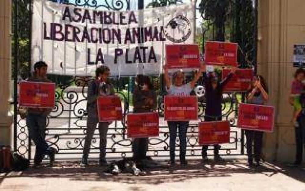 Denuncian p�simas condiciones de los animales en el zool�gico de La Plata