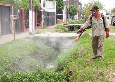 Contin�an los trabajos de fumigaci�n en la Capital
