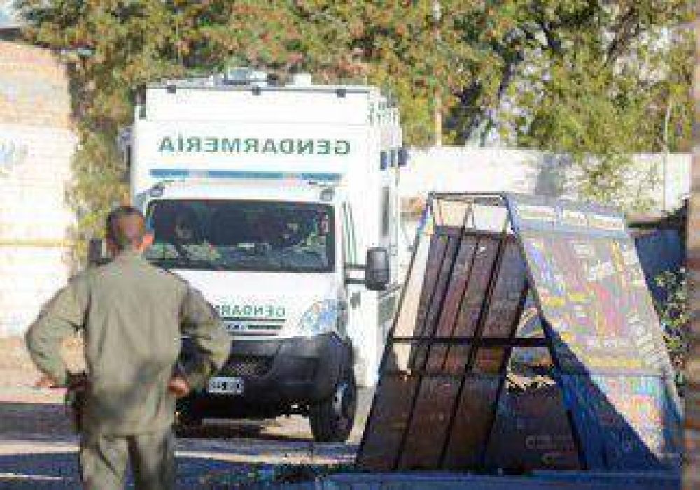 Buscan a �valos en Las Palmas hasta con una retroexcavadora 