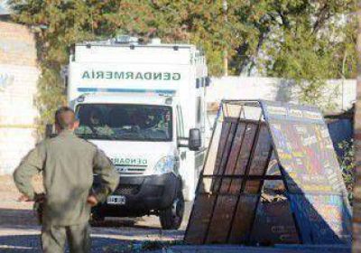 Buscan a �valos en Las Palmas hasta con una retroexcavadora 