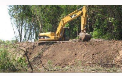 Ambientalistas denuncian que �se retomaron obras de destrucci�n� del R�o Luj�n