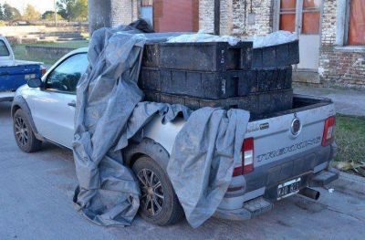 Se decomisaron 800 kilos de pejerrey en veh�culo que proven�a de pesca furtiva