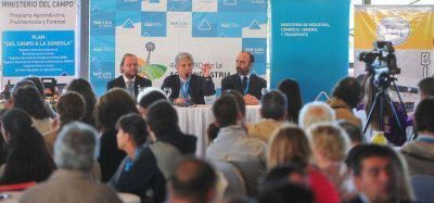 Poggi: �Iniciamos el camino del precio de referencia San Luis�