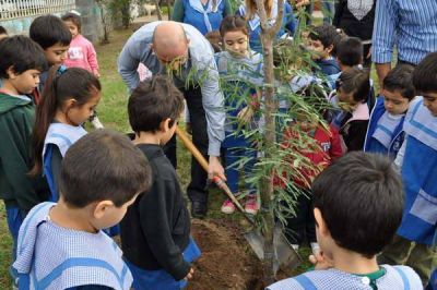 Con especies aut�ctonas, se inici� campa�a de reforestaci�n