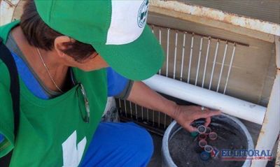 Diagnosticaron un caso de dengue y piden prevenci�n