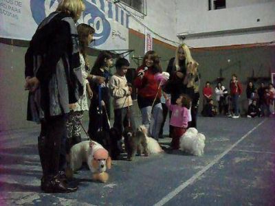 Quinta Expo Mascotas de Gesti�n Prodea, �un encuentro muy educativo e integrador�