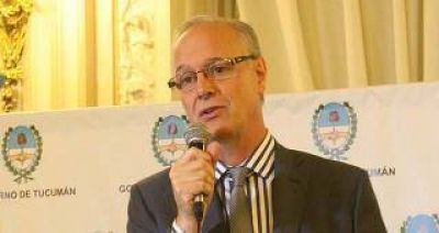 Gollan asegur� que la situaci�n �est� bajo control� por la ca�da de cenizas