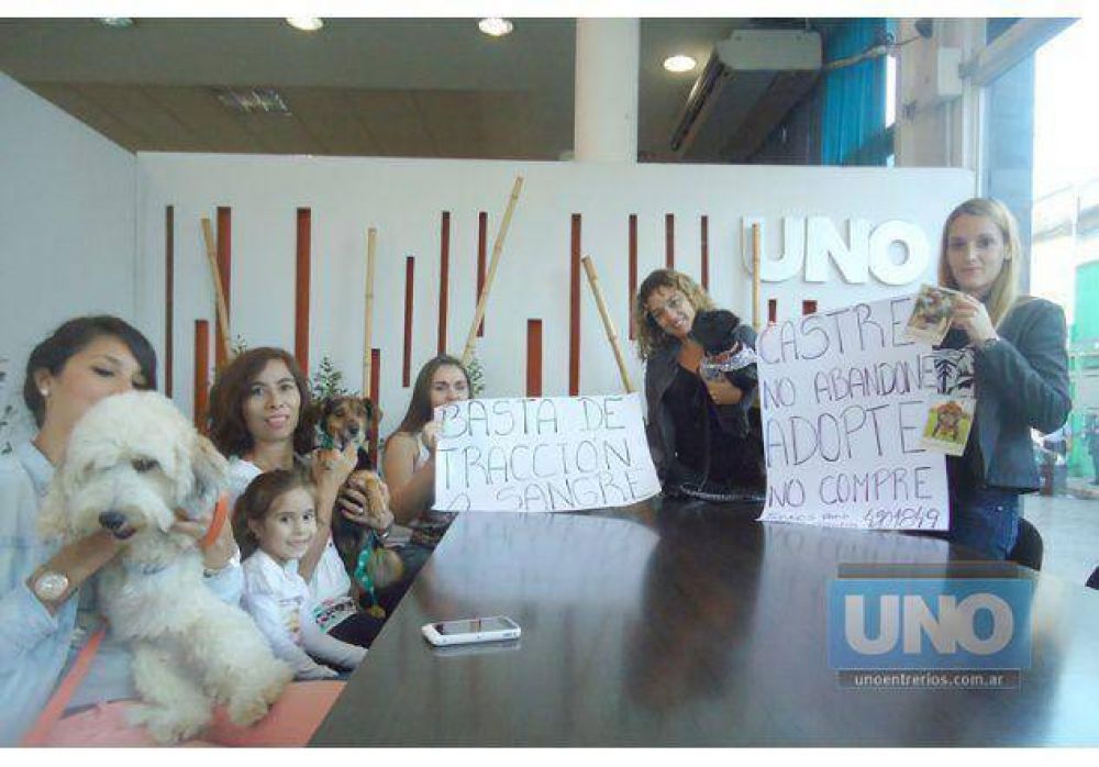 Proteccionistas invitan el 29 a la marcha por los derechos de los animales