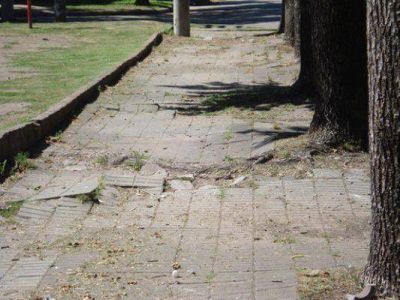 Impulsan programa de recuperaci�n integral de veredas