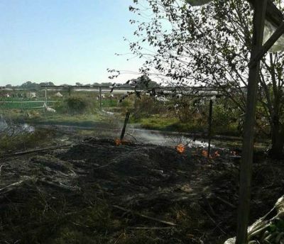 Se agrava la toma de lotes en Abasto y crece el temor vecinal