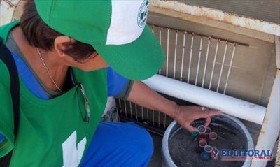 Dengue: piden mantener las medidas preventivas por las altas temperaturas