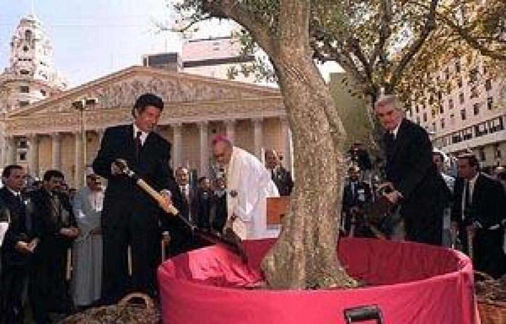 Inauguran el Camino de la Paz para llegar al Olivo del Papa