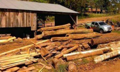 Puerto Piray: Empleados madereros se manifiestan frente al aserradero