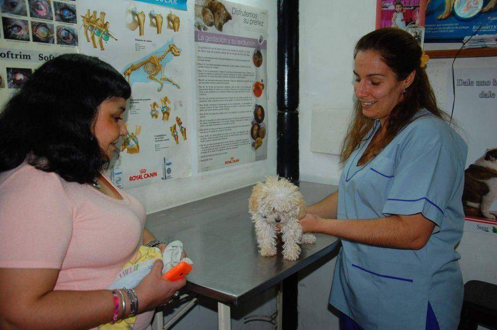 Veterinarias locales admiten el alto crecimiento de la poblaci�n animal