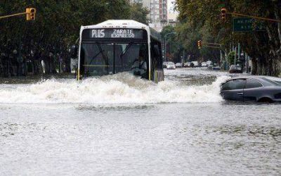 Tecma SA gan� otra millonaria licitaci�n