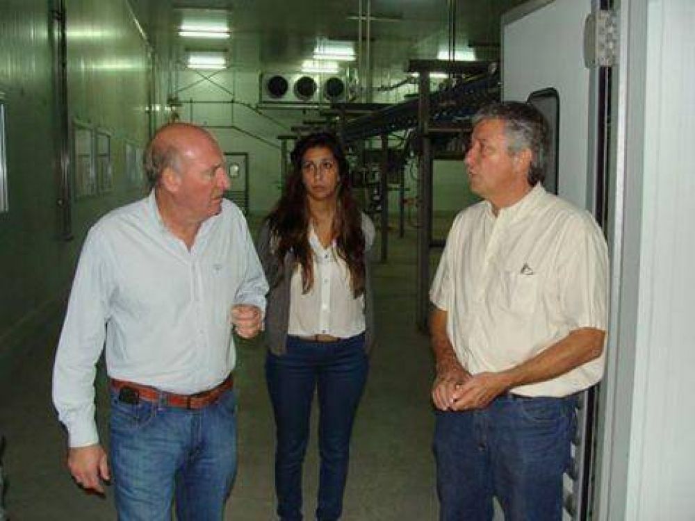 Gran expectativa de la comuna por el nuevo frigor�fico de aves en Comirsa