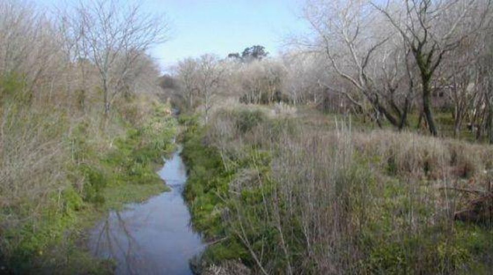 Salvan a un beb� al que intentaban matar