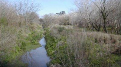 Salvan a un beb� al que intentaban matar
