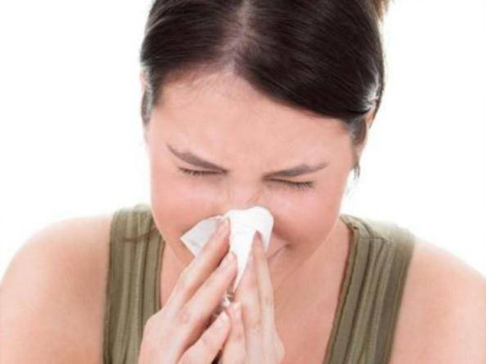 Aseguran que no hay circulaci�n de gripe e instan a vacunarse