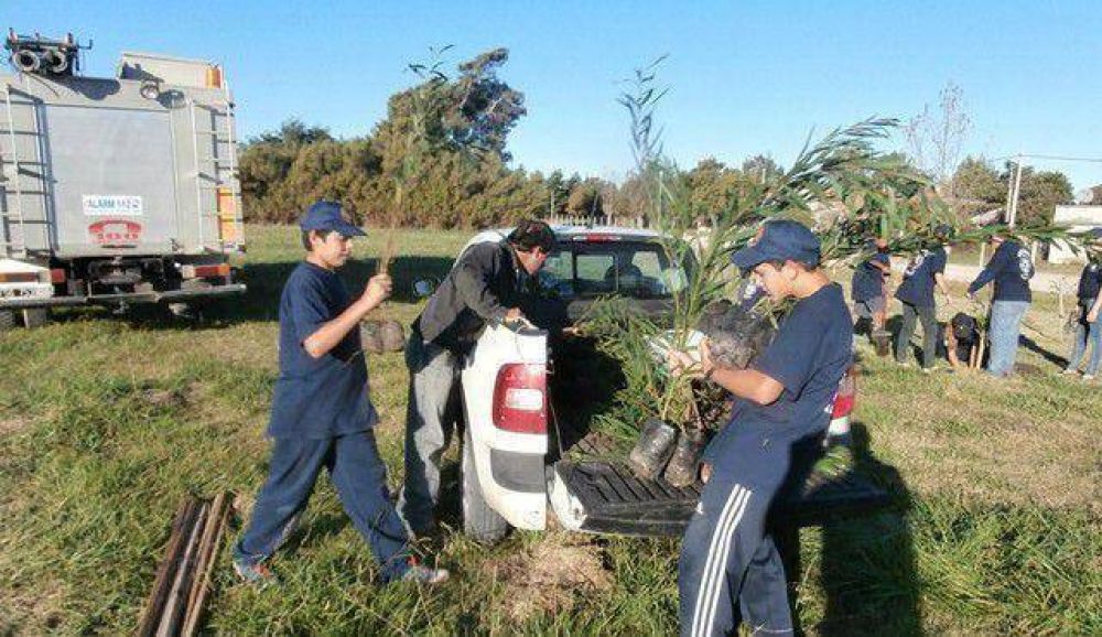 Forestaron en Copetonas