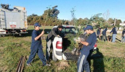 Forestaron en Copetonas