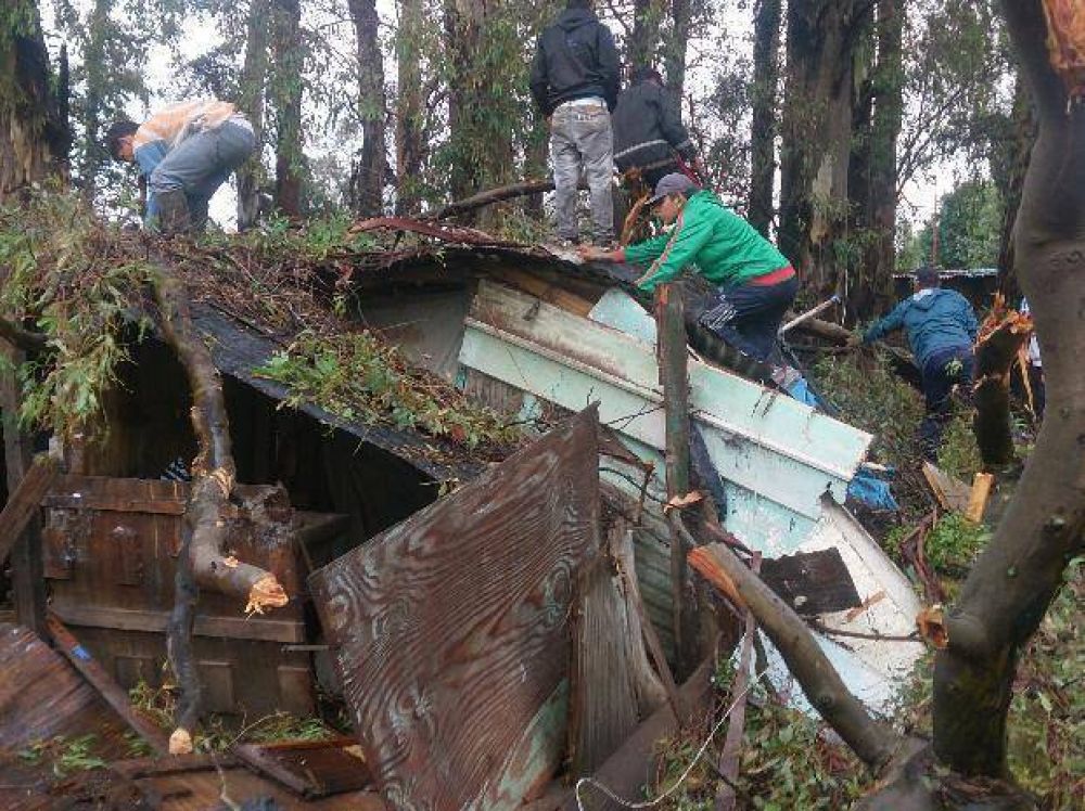 Un muchacho de 20 a�os muri� aplastado al caer un �rbol sobre su casa en Villa Gobernador G�lvez