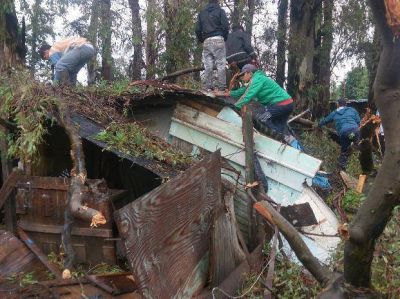 Un muchacho de 20 a�os muri� aplastado al caer un �rbol sobre su casa en Villa Gobernador G�lvez