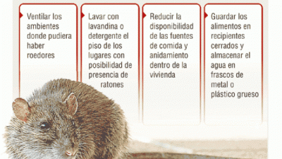 Confirman 28 casos de hantavirus en 2015, con tres muertos