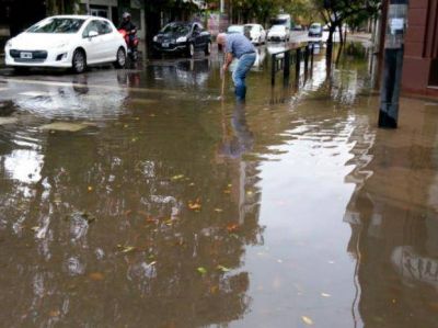 En Rosario, la tormenta golpe� con fuerza al centro y derrib� 50 �rboles