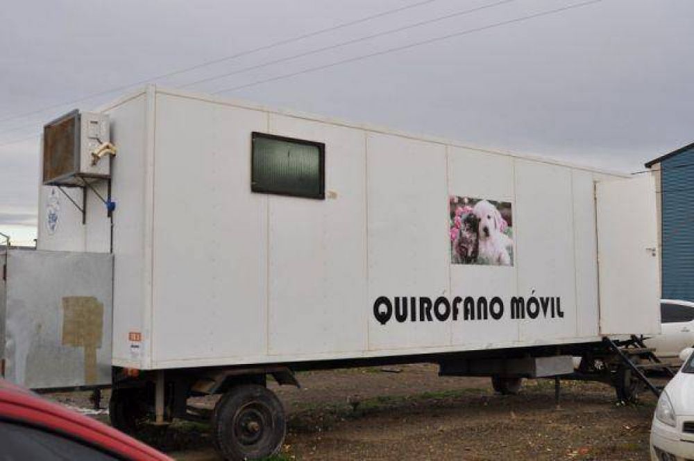 Este lunes habilitan el Quirfano Mvil en Chacra XIII para servicios veterinarios