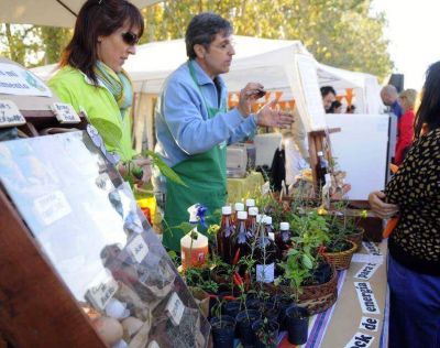Unos 23.000 visitantes durante el fin de semana largo