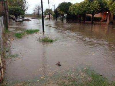 Diluvio con granizo y vientos de hasta 80 kil�metros