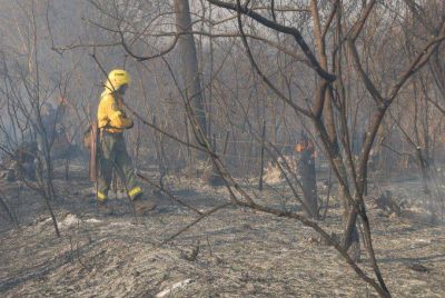 Reconocieron la labor de los brigadistas forestales juje�os
