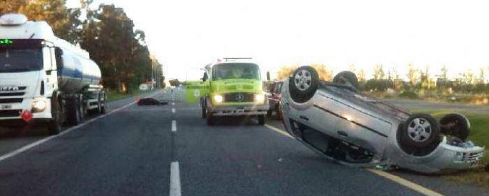 Un caballo sobre la Autov�a 2 provoc� un choque y un vuelco