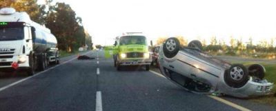 Un caballo sobre la Autov�a 2 provoc� un choque y un vuelco