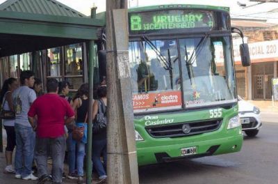 En Posadas no se aplicar�n los descuentos nacionales en colectivos