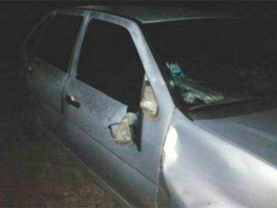Un autom�vil embisti� a un caballo que estaba sobre la ruta