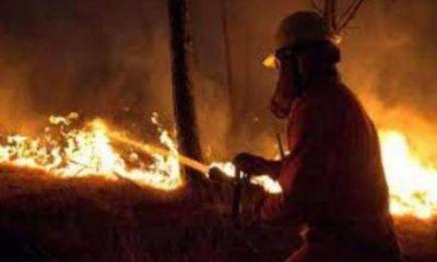 Incendio destruy� cerca de 8 mil kilos de hojas verdes