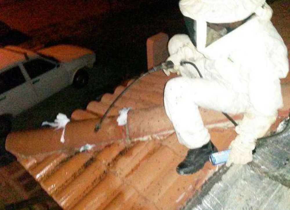 La Punta: comerciantes y vecinos denuncian invasi�n de abejas