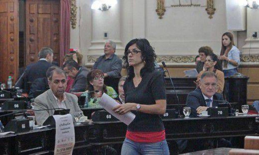 Rechazo oficialista al pedido de comparecencia por razzias