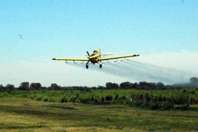 Prohibici�n de agroqu�micos causa �perjuicios laborales� a ingenieros