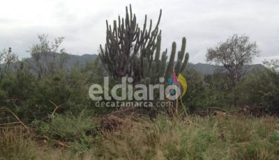 �No es verdad que nos van a beneficiar con el servicio de agua potable y energ�a el�ctrica�
