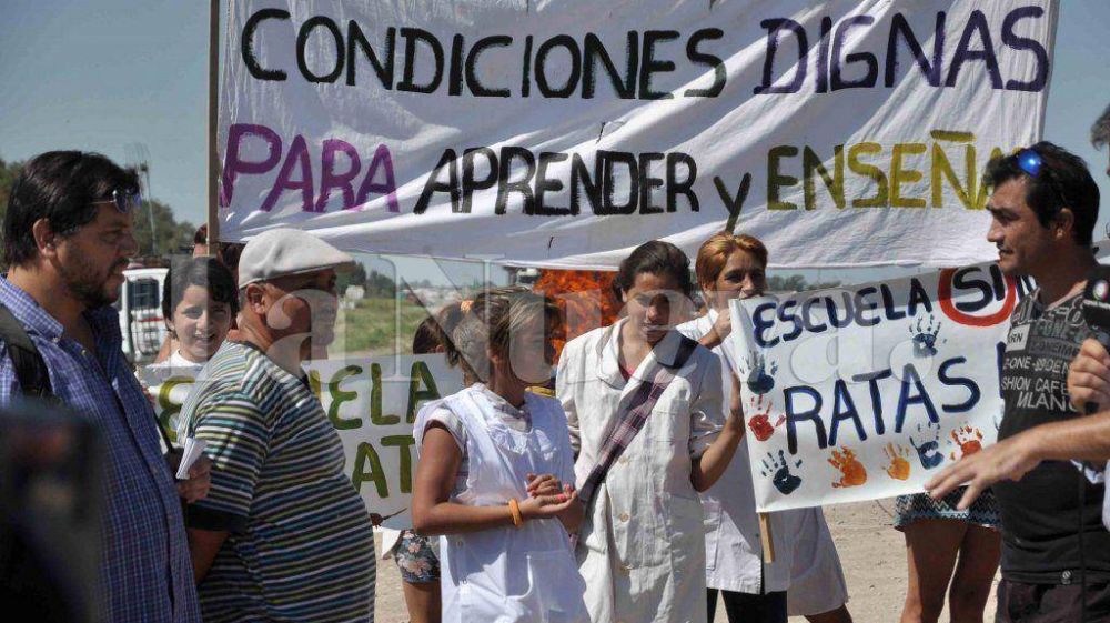 Roedores en las escuelas: dicen que se ir�n con las heladas