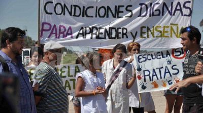 Roedores en las escuelas: dicen que se ir�n con las heladas